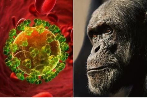 where did hiv come from